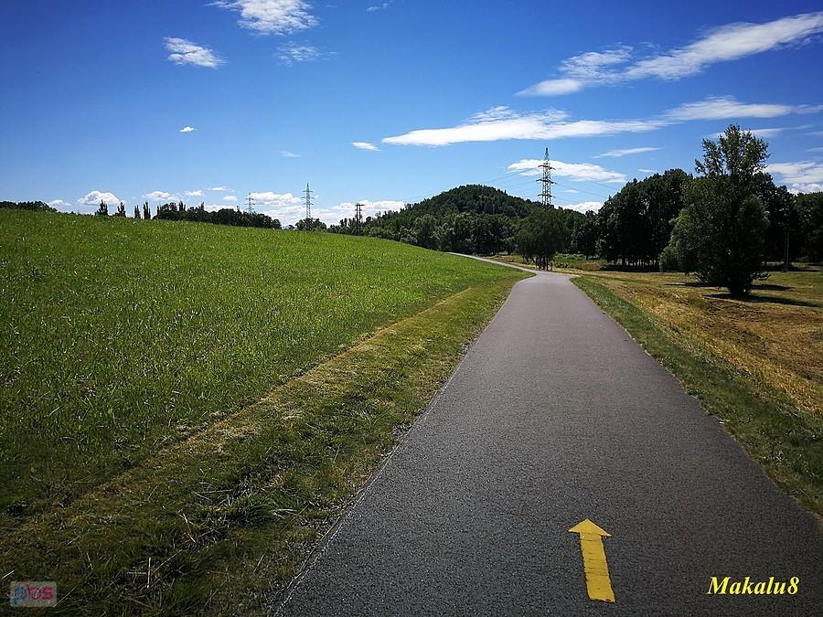 Přívozská halda (272 m)