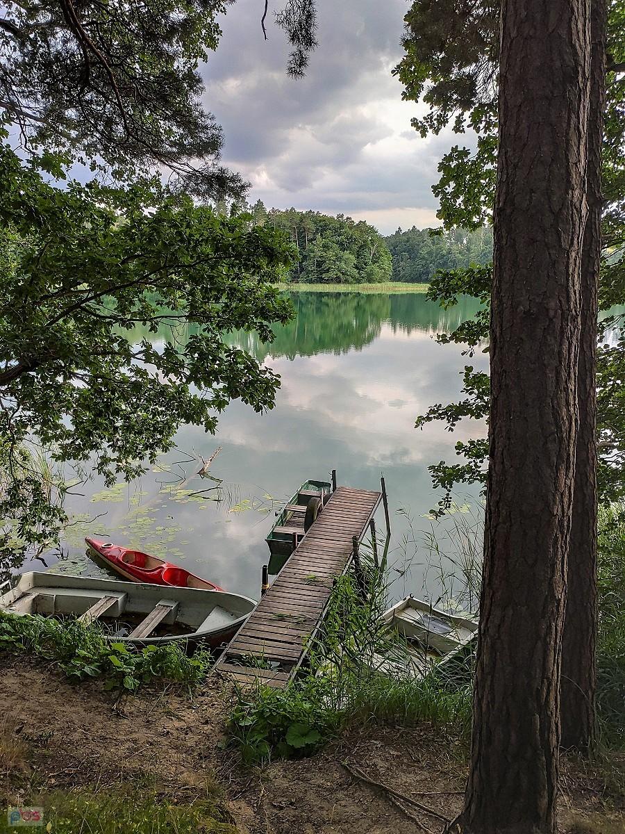 Nenufarowy pomost