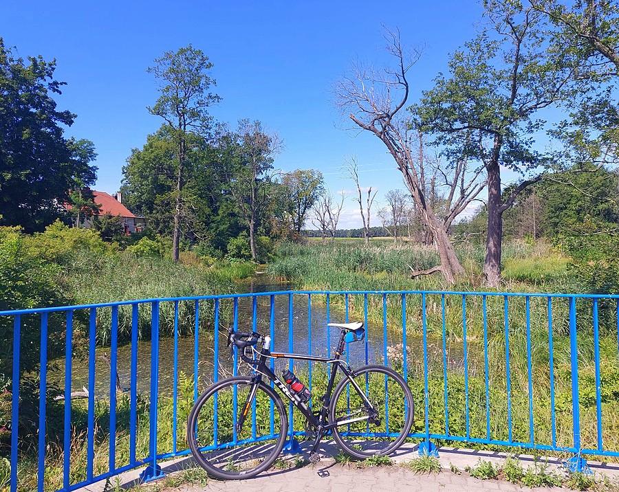 Pauza nad bagienkiem, Trzcielin