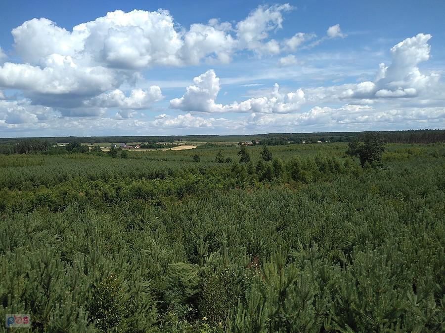 Widok z Wieży -Trzebciny