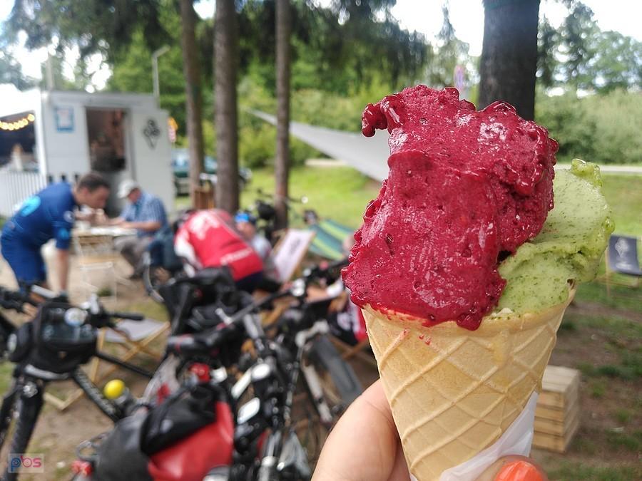 Lody pokrzywowo porzeczkowe- Tleń