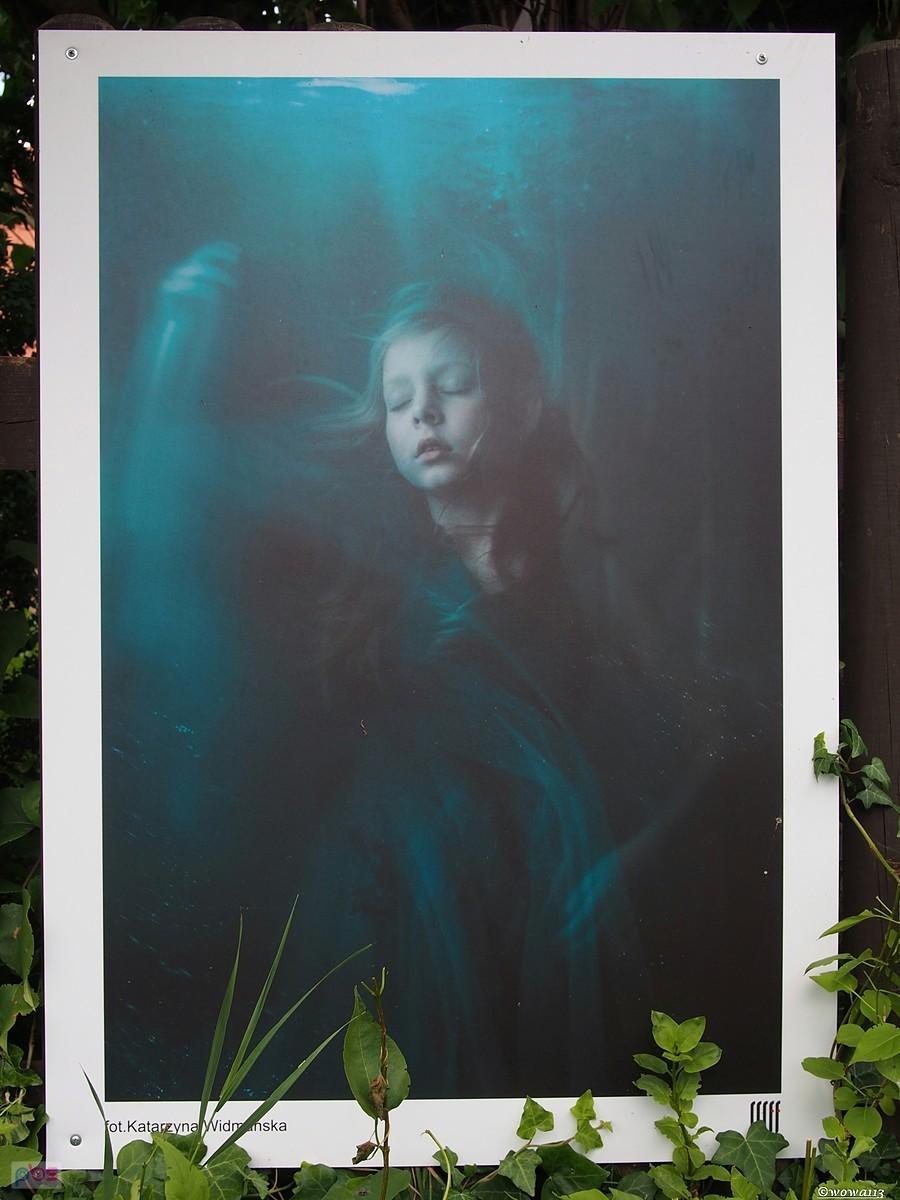 Fotografia Katarzyny Widmańskiej