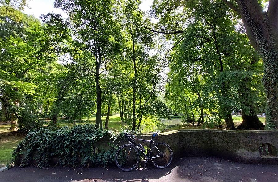 Jeden z mostków na poznańskim Sołaczu