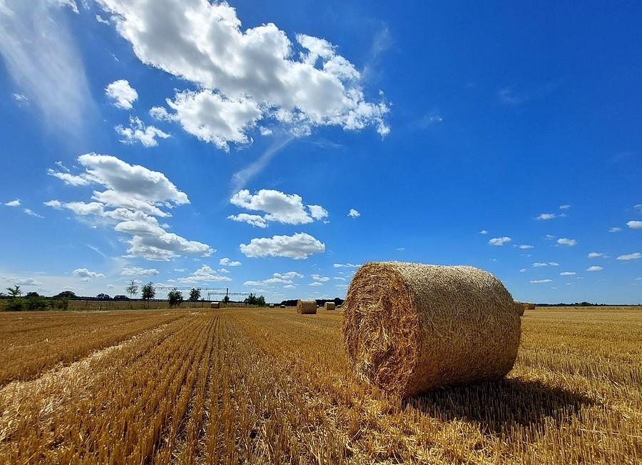 Ostatni dzień lipca