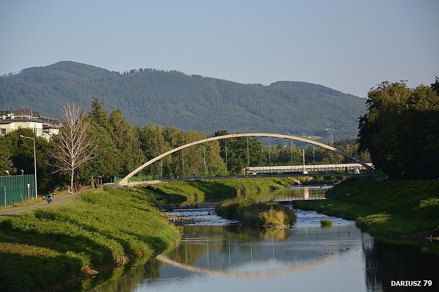 Skoczów - Rzeka Wisła