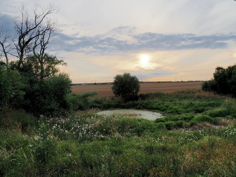 Mały stawik pod Drzeńskiem