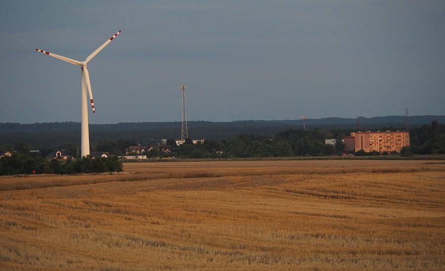 Widok na Rzepin