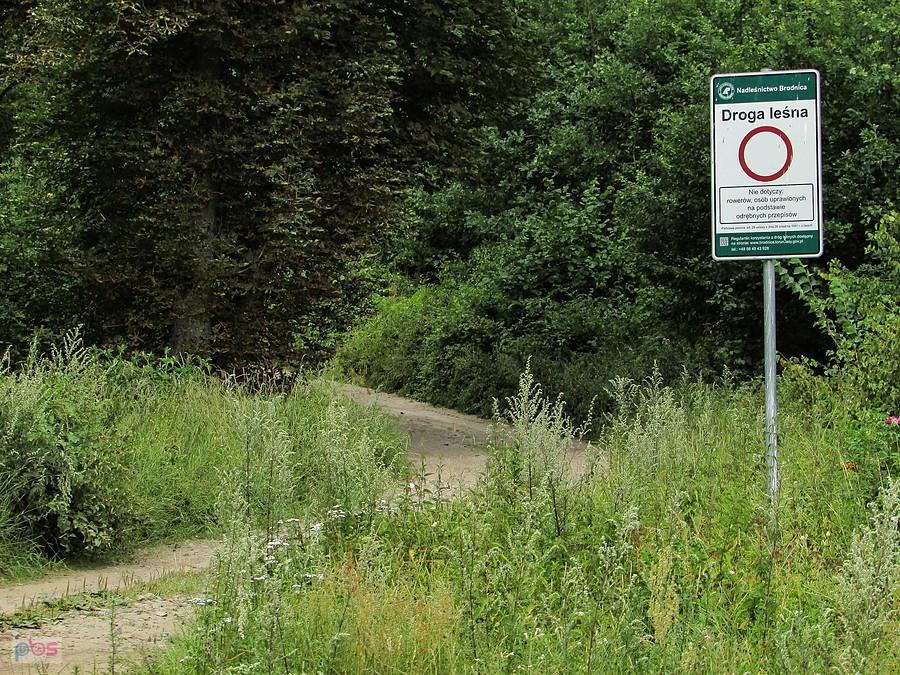 Dojazd do leśniczówki Bachotek