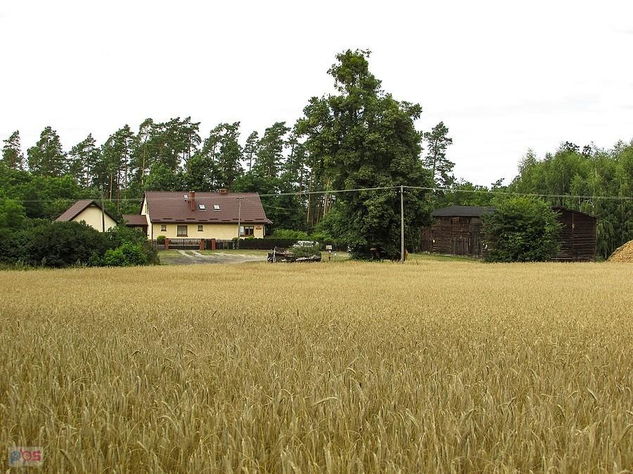 Leśniczówka Bachotek