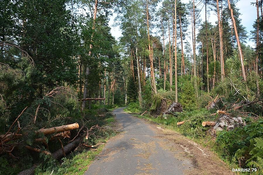 Tenczyński Park Krajobrazowy