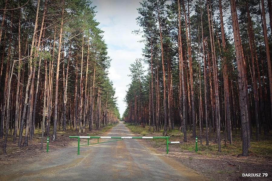 Droga Leśna pomiędzy Błędów a Róże Wiatrów