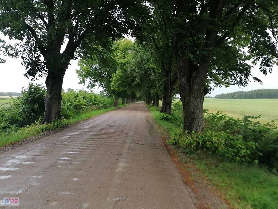 Tarka na mazurskich szutrach