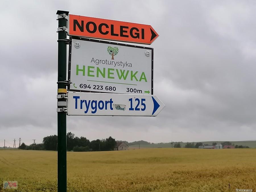 W Trygorcie. Polecam.