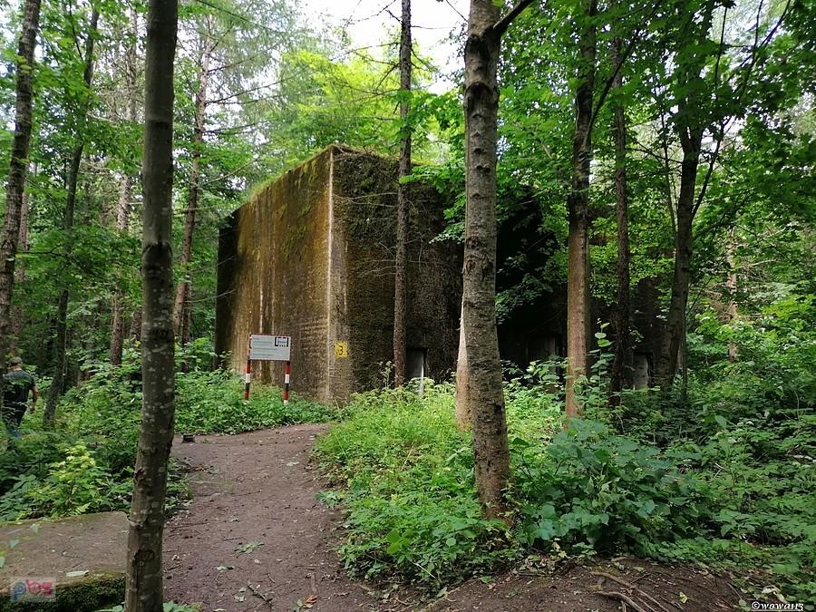 Schron w Mamerkach