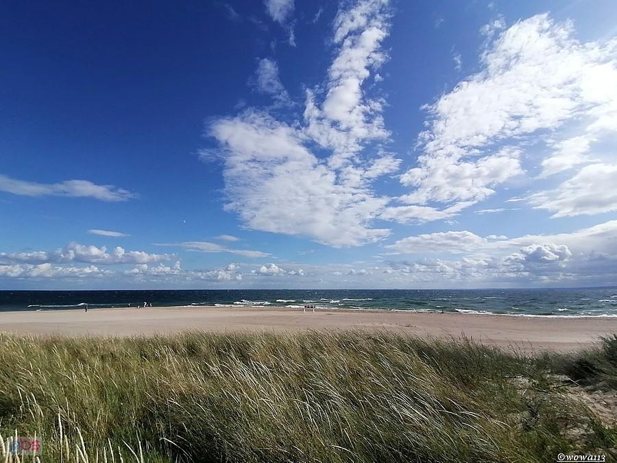 Tłumy na plaży