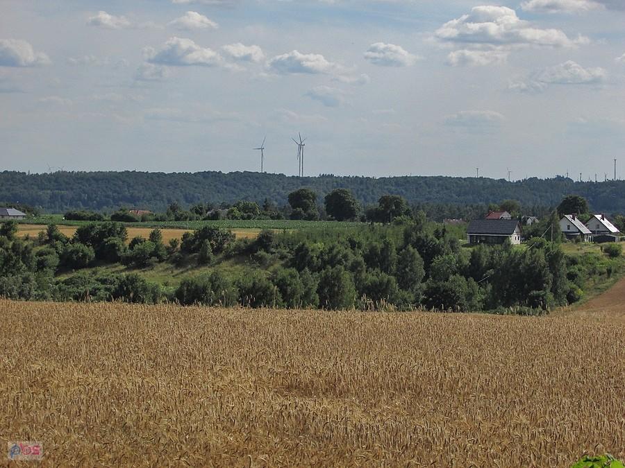 Widok na wiatraki na wzgórzach nad Brodnicą
