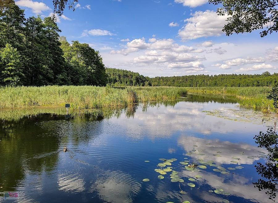 Skarlanka w kierunku Jeziora Strażym