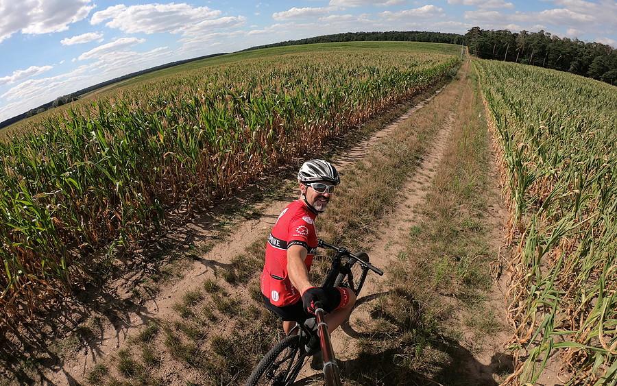 Kukurydziane klimaty. To też w WPN