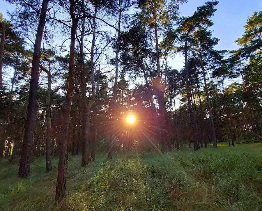 Słoneczna przebitka