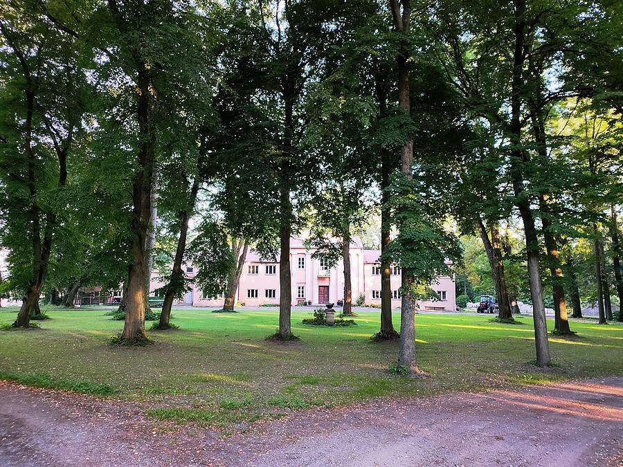 Pałac w Tomaszowicach