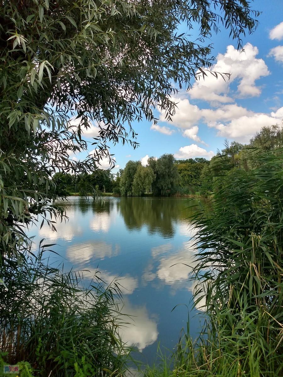 Staw w Zielonkach