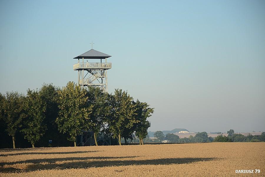 Wieża widokowa w Pietrowicach Wielkich
