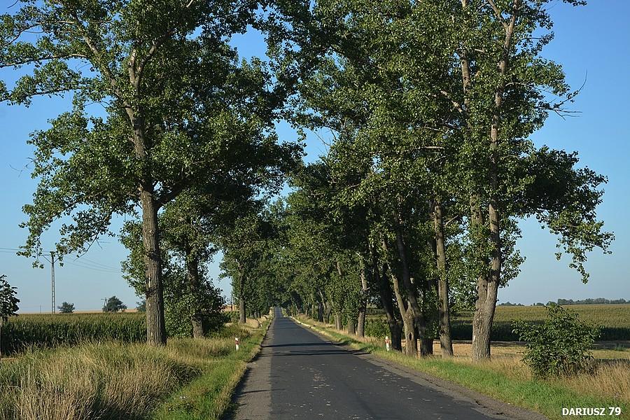 Pilszcz