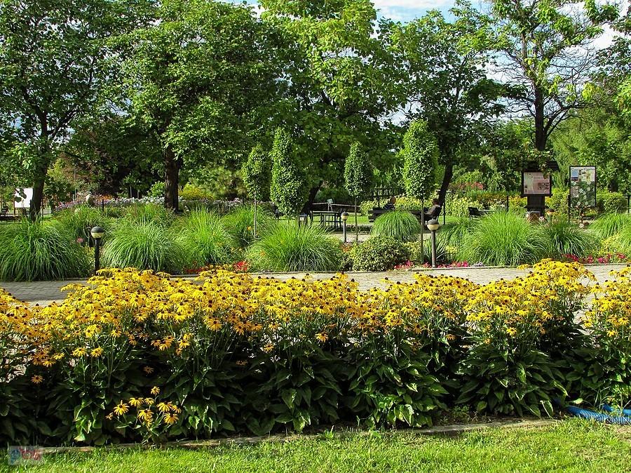 Zaglądam przez płot do Ogrodu Botanicznego PAN