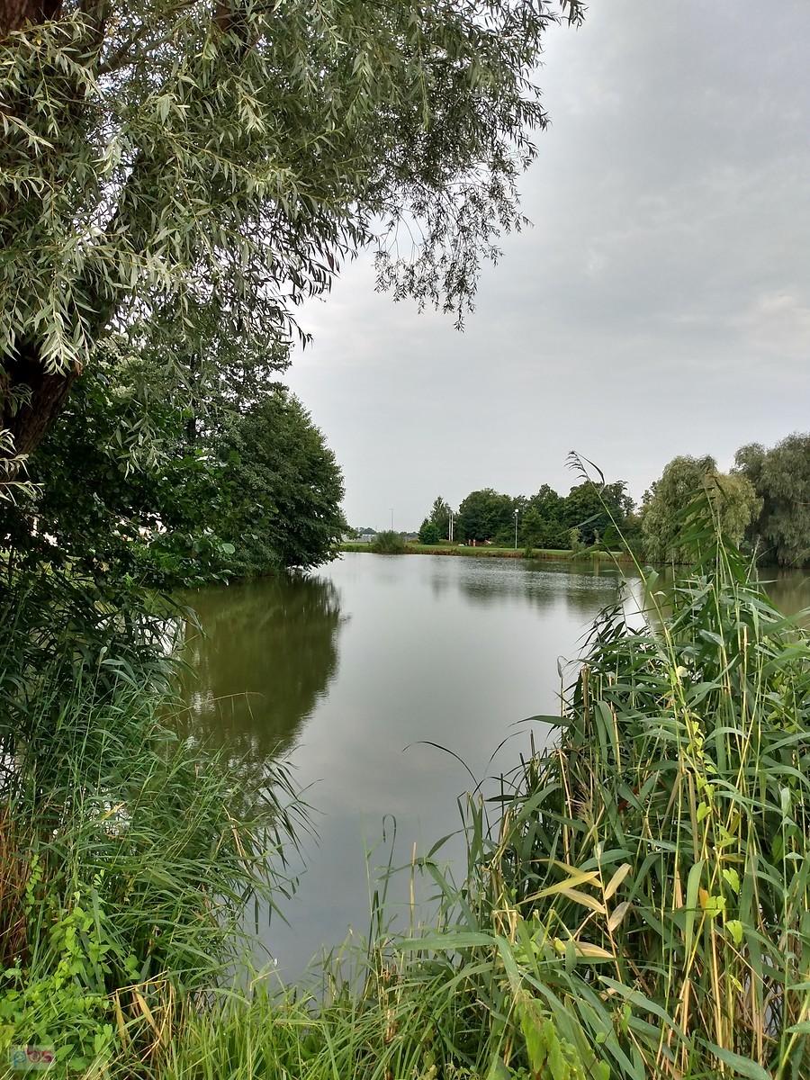 Staw w Zielonkach