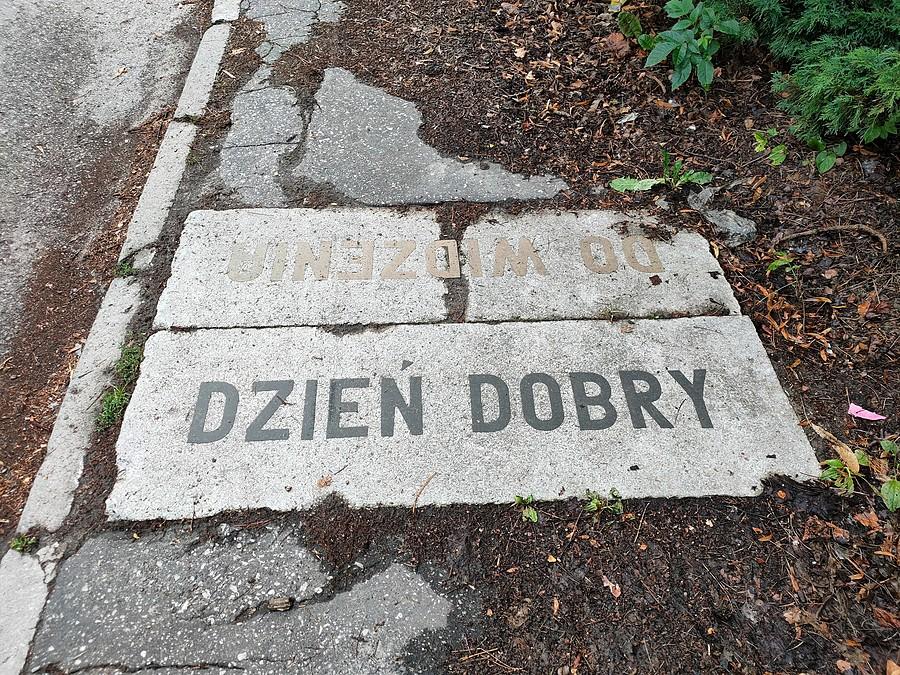 Płyty chodnikowe na terenie FSC w Lublinie