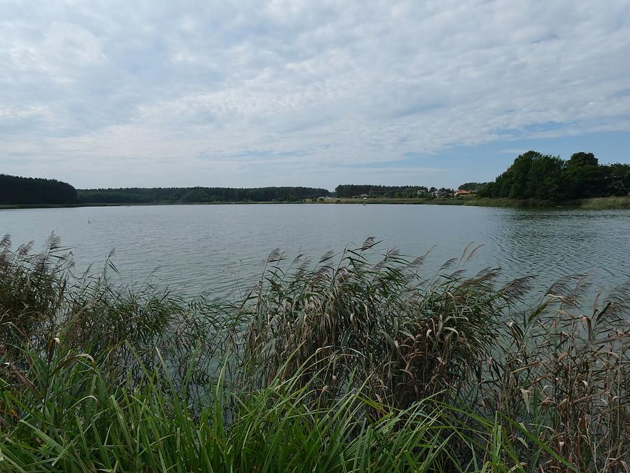 Staw Ośniański