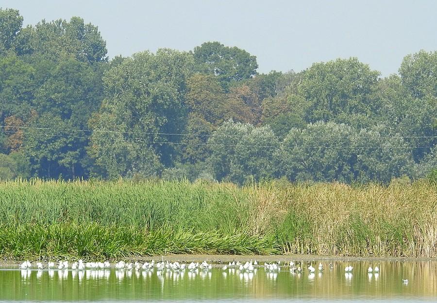 Biało w Szczodrzykowie