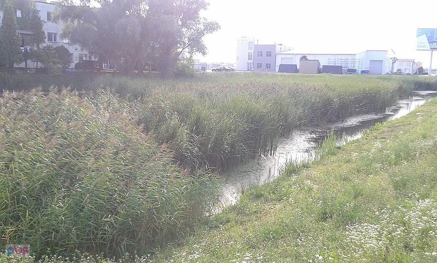 Glinianki Załuskie- glinianka większa, została częściowo zasypana przy budowie POW, dostępna przez łączki od Foliałowej wzdłuż POW