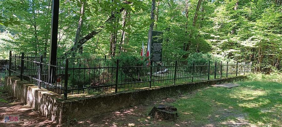 Rezerwat Wiączyń - Zbiorowa Mogiła