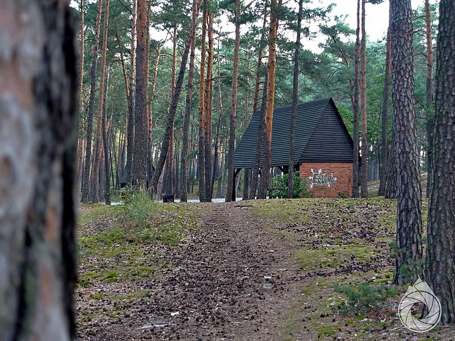 po lesie nad zalewem rozsiane sa wiaty