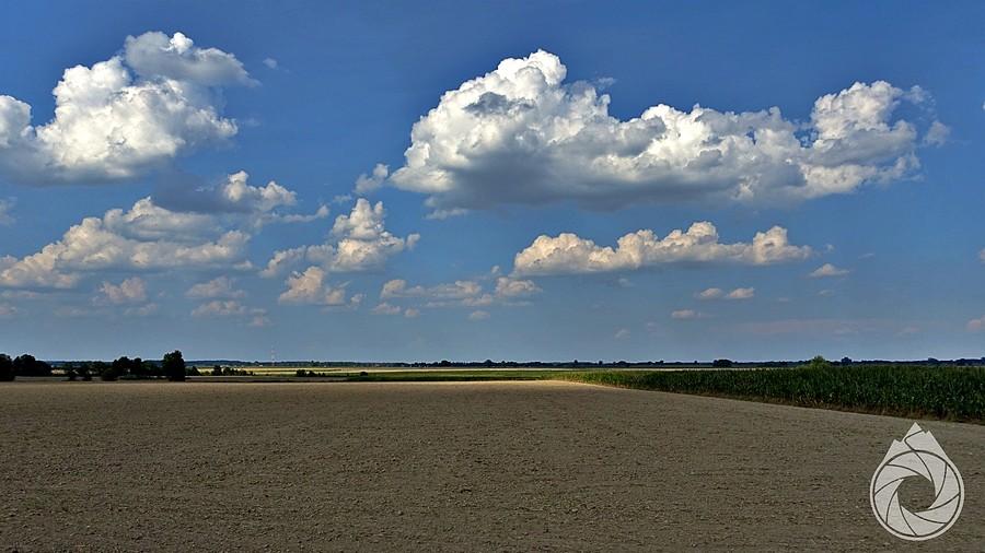 landszafcik opolski znad Namysłowa