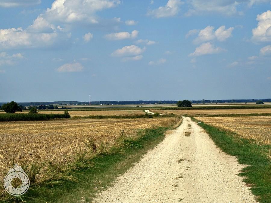 gdzieś w opolskie pola