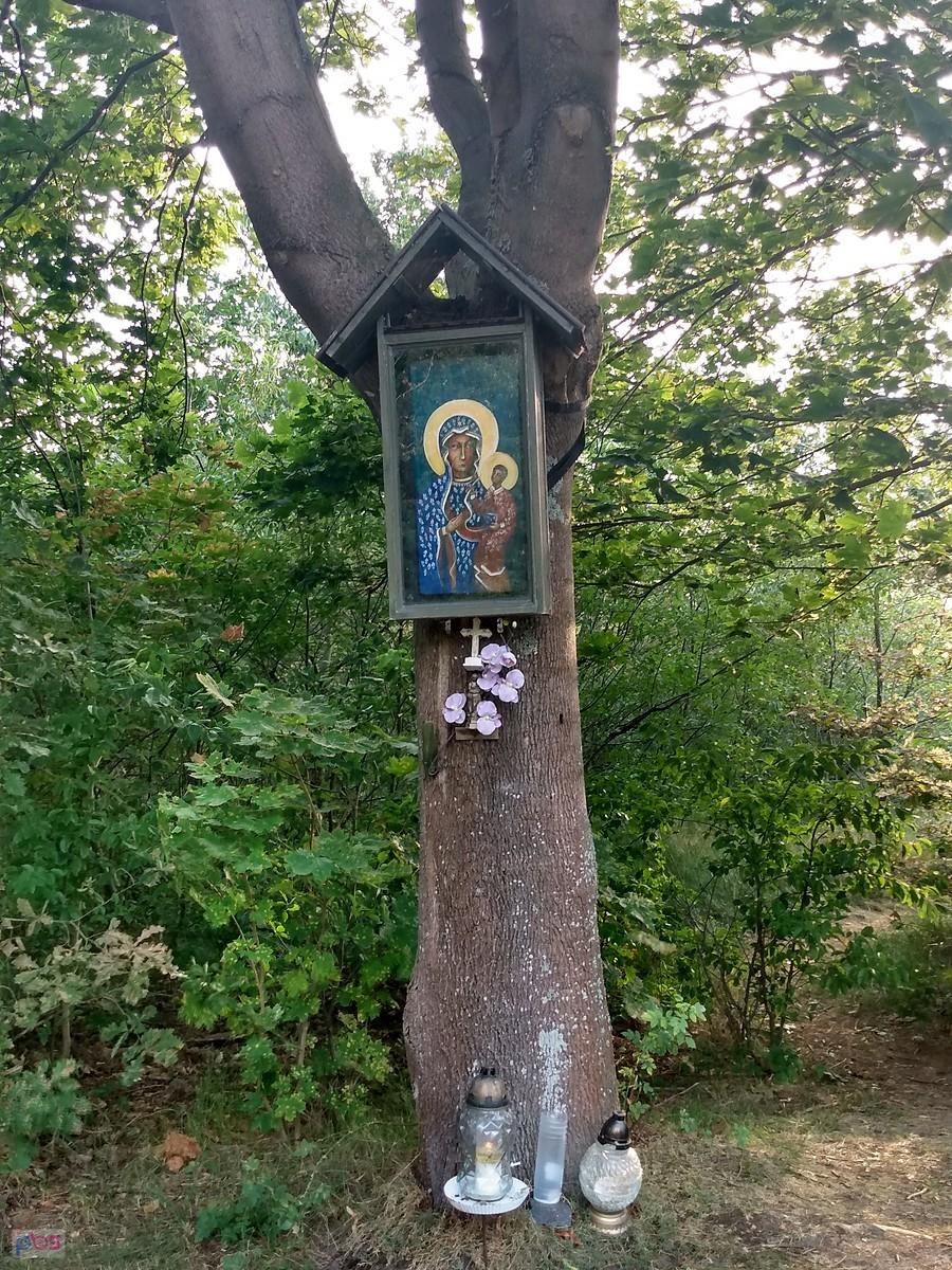 Przydrożna kapliczka, czy obraz na drzewie