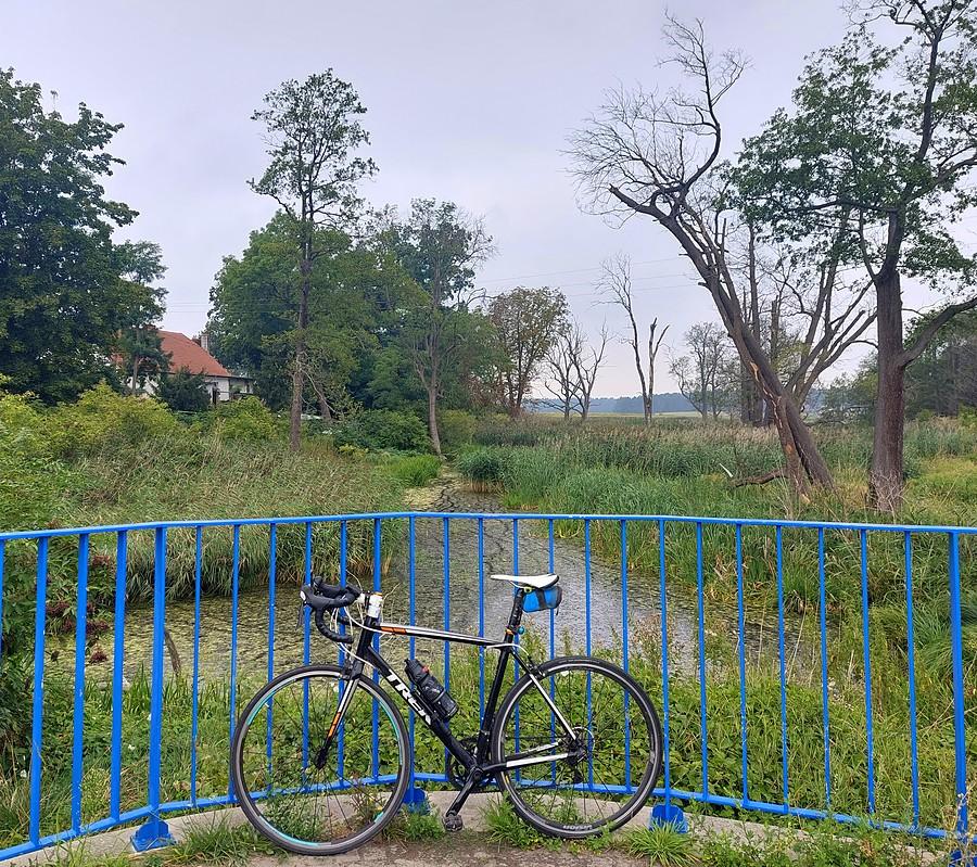 Szaro w Trzcielinie