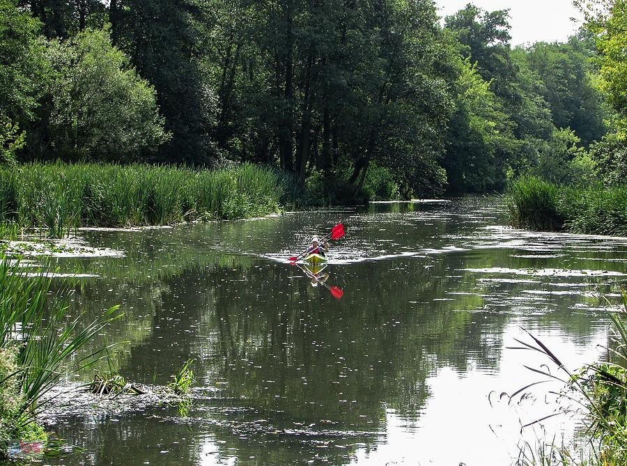 Jeziorka przy Starej Papierni - to już koniec spływu kajakowego