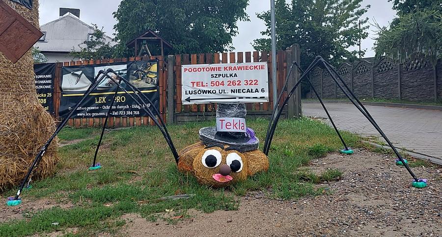 Tekla z Lusówka :)