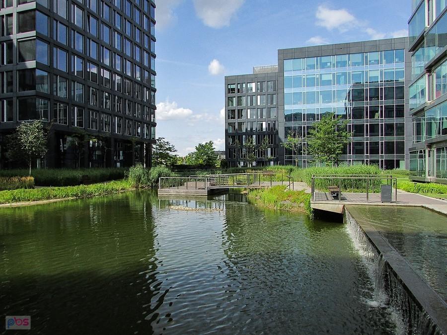 Staw na terenie Platinium Business Park
