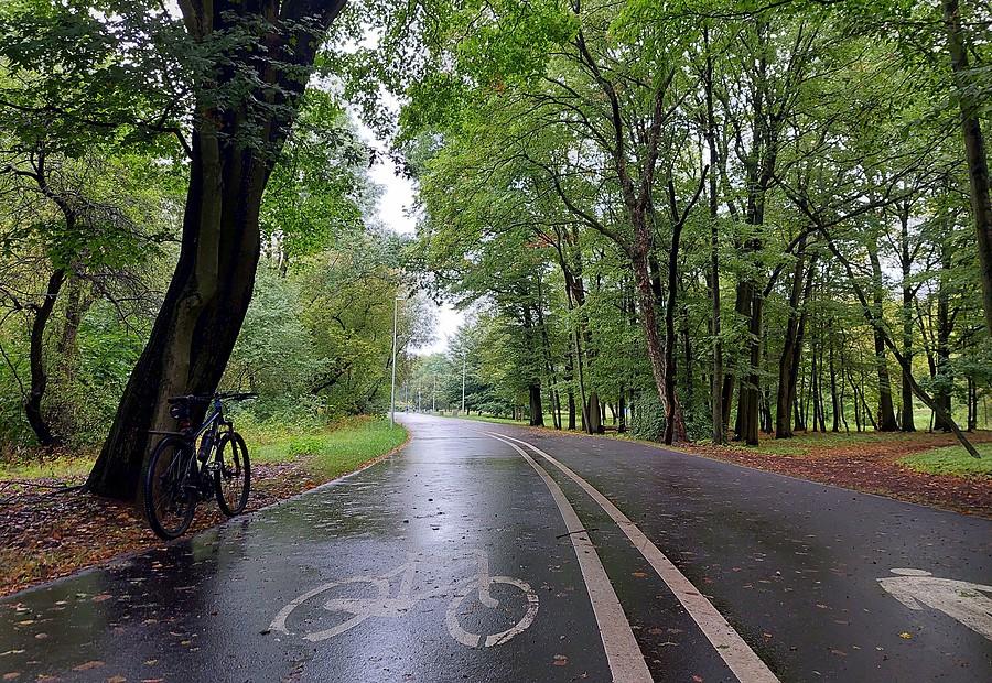 Deszczowa Wartostrada