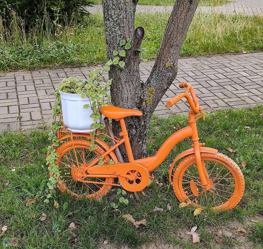 Mały, cały pomarańczowy