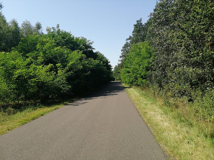Będziechów.