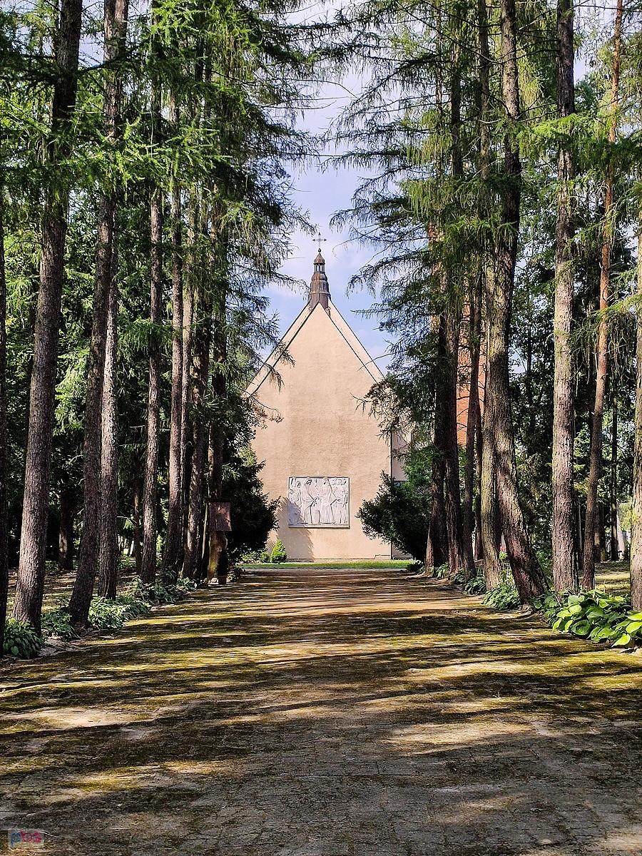 Alejka leśna przy kościele w Baniosze