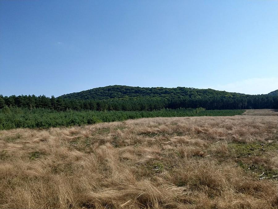 Część Sokolich