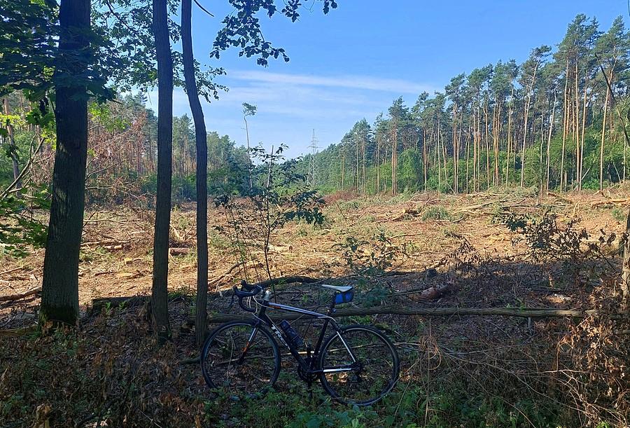 Po raz kolejny szlag człowieka trafia... Gnoje :/