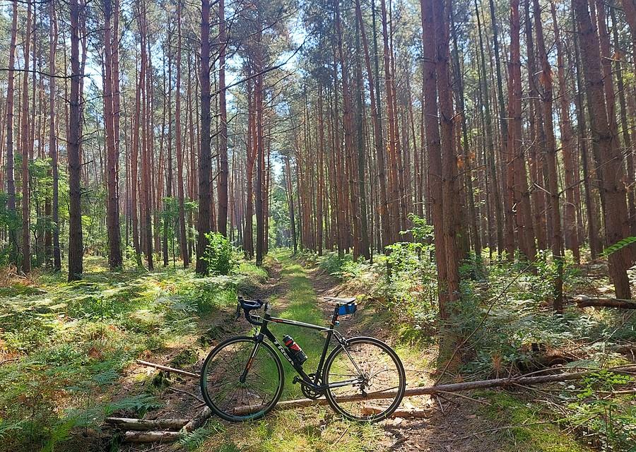 Stałe miejsce wciąż istnieje