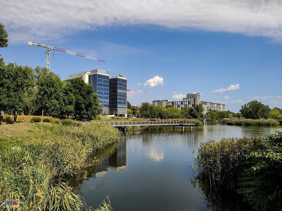 Staw Służewiecki